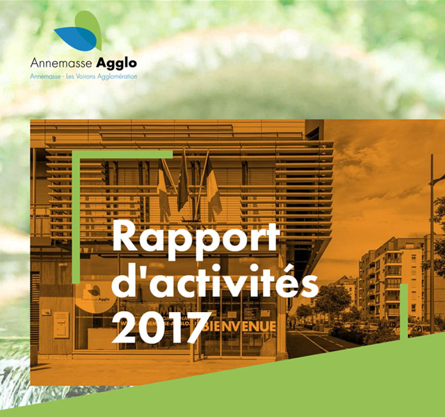Rapport d’activités 2017 Rapport d'activités 2017